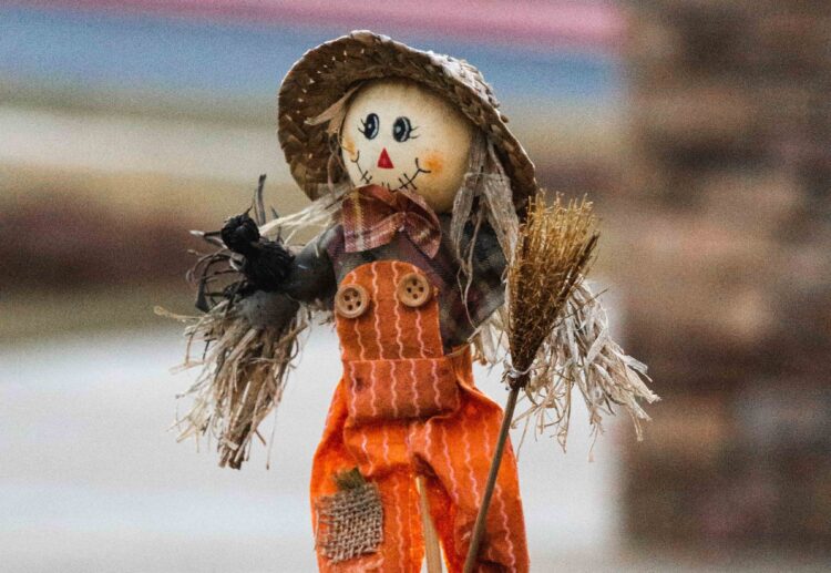 Find 60 scarecrows in Binfiled during half term. Picture: Eric Deeran via Unsplash