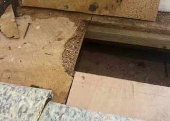 Floorboards damaged by damp and mould at a council home in Lower Earley. Credit: Craig Faulkner