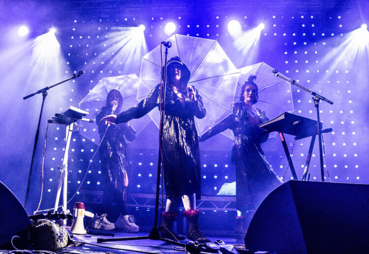 Stealing Sheep Picture: Andrew Merritt