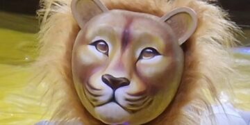 Ion the robotic lion will perform at Dinton Pastures, in Paolo's Circus, until Sunday, October 12. Picture: Paolo's Circus