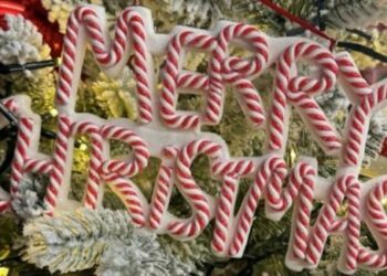 Christmas arrives earley at Winnersh Garden Centre this weekend. Picture courtesy of Winnersh Garden Centre