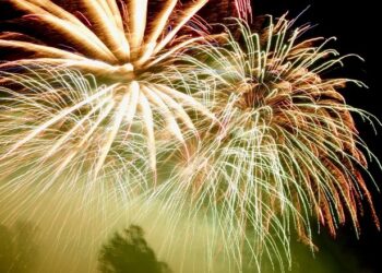 Visitors to Wokingham Charity Fireworks Display on Saturday enjoyed a spectacular show. Picture: Emma Merchant