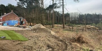 Tree Felling Beaufort Park