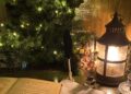 People can help make Christmas magic with First Days Children's Charity. Picture: Emma Merchant
