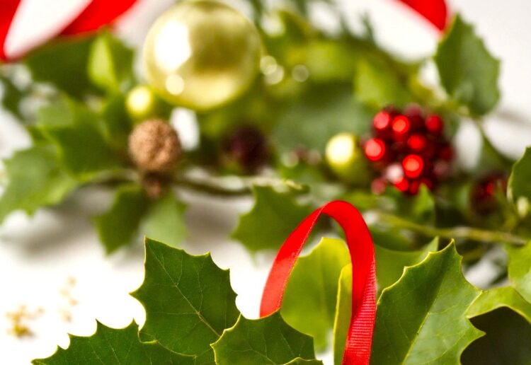 WADE Day Centre is offering a Christmas wreath making workshop to raise money for the charity. Picture: Tu?n Ph?m via Pixabay