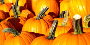 There's pumpkin fun for families at borough parks this October half term. Picture: Deborah Jackson via Pixabay