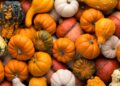 Wokingham Borough Council urges residents to make full use of their pumpkins, and help reduce waste. Picture: WBC