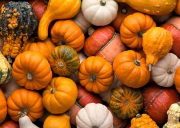 Wokingham Borough Council urges residents to make full use of their pumpkins, and help reduce waste. Picture: WBC