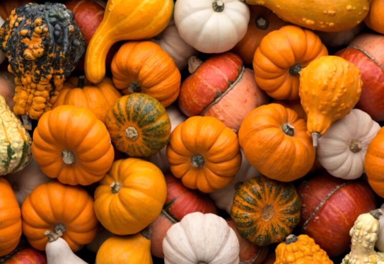 Wokingham Borough Council urges residents to make full use of their pumpkins, and help reduce waste. Picture: WBC