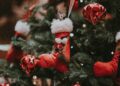Photo by Annie Spratt via Unsplash