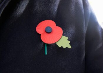 Events will be held across Wokingham borough next weekend to mark Remembrance Sunday. Pic: WBC.