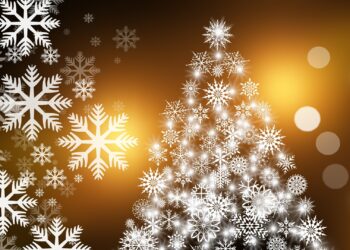 A Winter Wonderland Charity Ball at Cantley House Hotel will raise money for Kaleidoscopic UK. Picture: Gerd Altmann via Pixabay