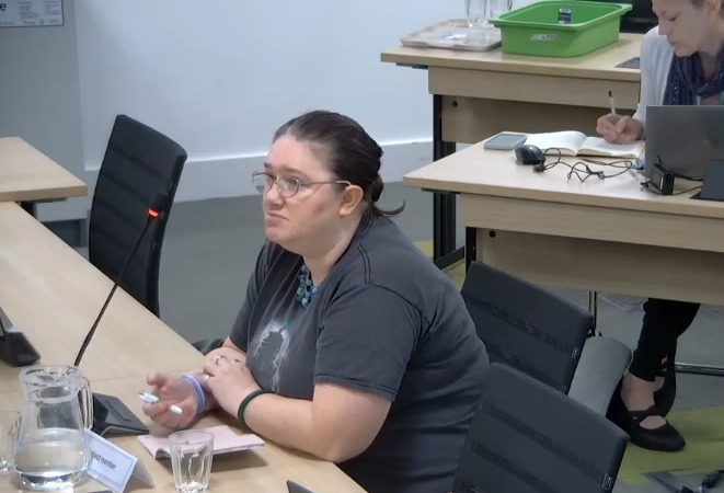 Councillor Jodie Watts (Labour, Harmans Water & Crown Wood) during the code of conduct panel hearing into a complaint about her conduct. Credit: Bracknell Forest Council / YouTube