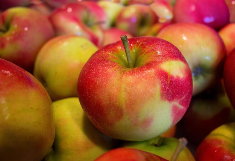 Clive Jones MP will present the prizes at this year's Wokingham Horticultural Association Winter Show. PIcture: Marco Roosink via Pixabay