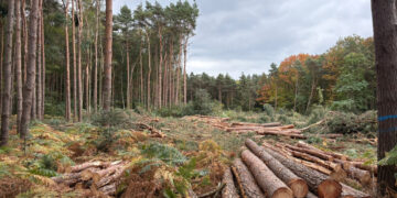 Residents of The Evergreen don't feel that Bracknell Forest Council has listened to their concerns about the felling of trees to make way for Beaufort Park homes. Picture: Evergreens resident