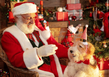 Santa Paws will be available for doggy selfies at Squire's Wokingham on Monday, December 8. picture: Squire's Garden Centres