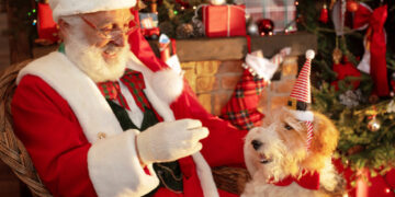 Santa Paws will be available for doggy selfies at Squire's Wokingham on Monday, December 8. picture: Squire's Garden Centres