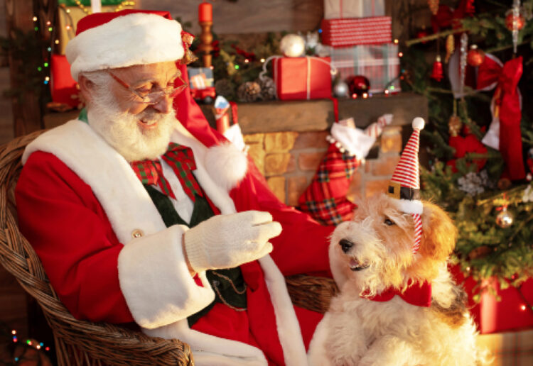 Santa Paws will be available for doggy selfies at Squire's Wokingham on Monday, December 8. picture: Squire's Garden Centres