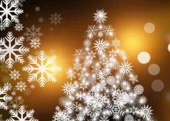 A Christmas lightshow at Columbia Court will raise funds for Promise Inclusion. Picture: Gerd Altmann via Pixabay