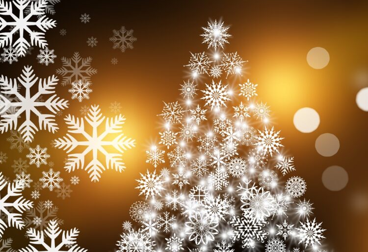 A Christmas lightshow at Columbia Court will raise funds for Promise Inclusion. Picture: Gerd Altmann via Pixabay