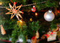There's plenty of festive cheer at Dinton Pastures Country Park in Hurst this December,