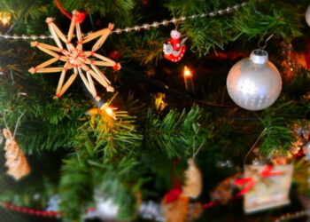 There's plenty of festive cheer at Dinton Pastures Country Park in Hurst this December,