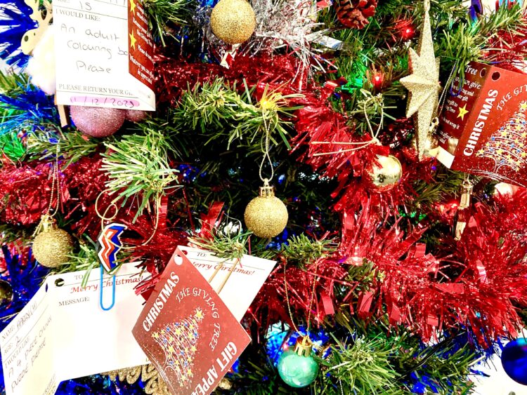 Wokingham's Giving Tree Scheme means that many more borough children can open a gift on Christmas morning. Picture: Emma Merchant