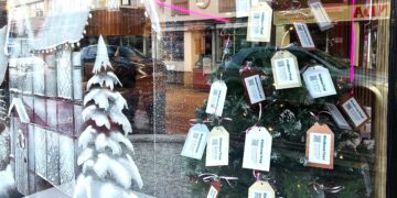 Link Kindness Trees, like this one at David Cliff, are bringing warmth and connection to older people in the borough. PIcture: The Link