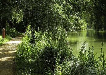 A new initiative aims to protect and restore the River Thames. Picture: Steve Daniels via Wikimedia Commons
