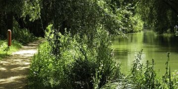 A new initiative aims to protect and restore the River Thames. Picture: Steve Daniels via Wikimedia Commons