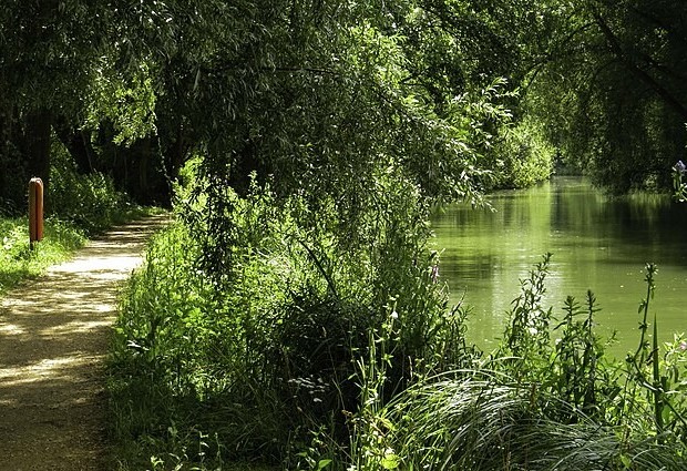A new initiative aims to protect and restore the River Thames. Picture: Steve Daniels via Wikimedia Commons
