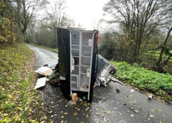 Public Protection Partnership is appealing for information about a flytip on Ryehurst Lane, between December 5 and 7. Picture: Bracknell Forest Council