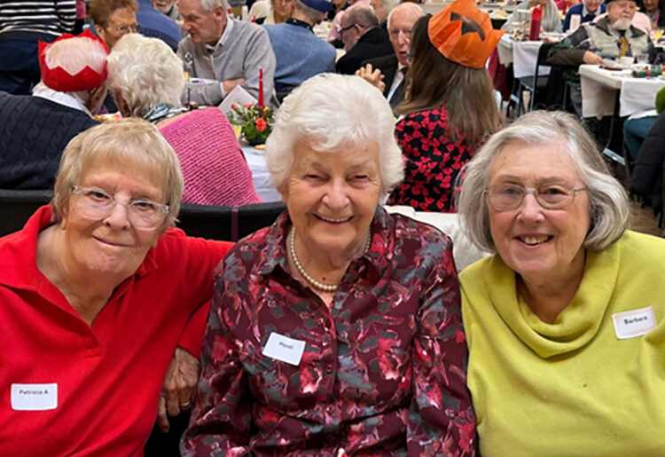 The Link Visiting Scheme?s Christmas Party at Loddon Hall. Pic: WBC.