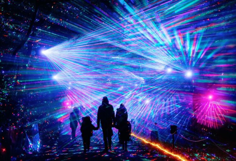 Windsor Great Park illuminated trail ends in January. Picture: Giles Smith