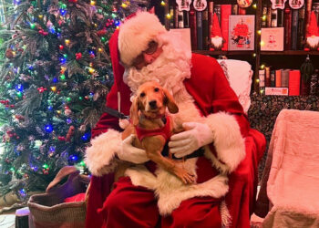 Squire's Hare Hatch Santa Paws event gave owners and their dogs a fun photo opportunity, while raising money for Age UK Twyford & District. Picture: Squire's Hare Hatch