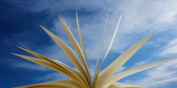 Book lovers can enjoy a monthly club at Wokingham Library. Picture: Michaela via Pixabay