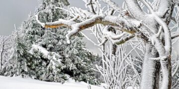 Winter Picture: Pixabay