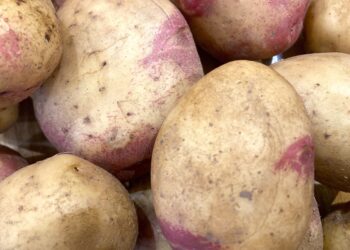 A thief with a passion for potatoes visited Norreys Church at the weekend to make off with Share Wokingham supplies.