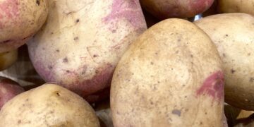 A thief with a passion for potatoes visited Norreys Church at the weekend to make off with Share Wokingham supplies.