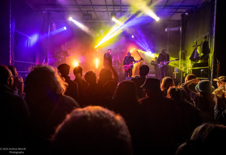 Wokingham Festival Picture: Andrew Merritt