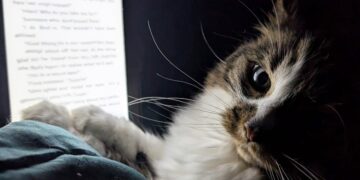 Grizabella in her new home 'reading'. PIcture: Sam Osborne