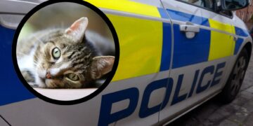 Thames valley police