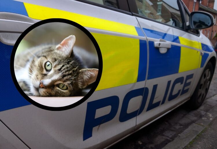 Thames valley police