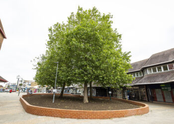 PIC BY STEWART TURKINGTON www.stphotos.co.uk