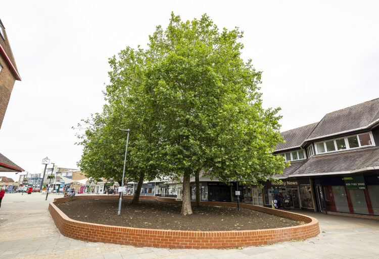 PIC BY STEWART TURKINGTON www.stphotos.co.uk