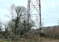A pylon damaged by a falling tree is causing residents of Hatch Farm Way to be evacuated. Contributed photograph
