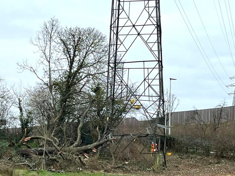 A pylon damaged by a falling tree is causing residents of Hatch Farm Way to be evacuated. Contributed photograph