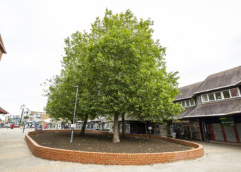 Woodley town centre Picture: Stewart Turkington