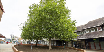 Woodley town centre Picture: Stewart Turkington