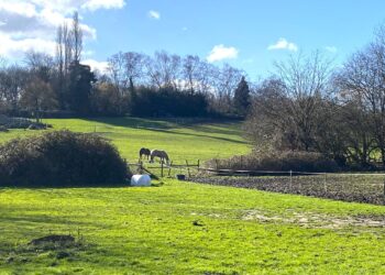 Residents of Limmerhill Road are overjoyed at the rejection of an appeal to build 60 homes on Limmerhill. Picture: Ruth Gibbs